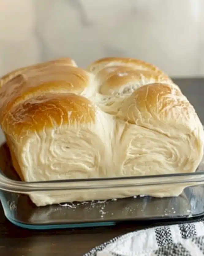 Soft Homemade Bread Dough Simple Recipe