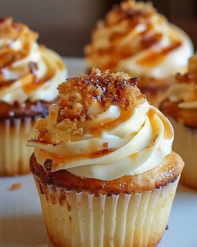 Vanilla Bean Crème Brûlée Cheesecake Cupcakes