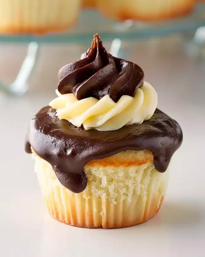 Boston Cream Pie Cupcakes
