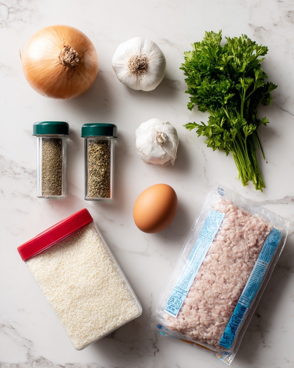 The image shows a white marbled surface with ingredients neatly placed and labeled. On the top left, there is a whole yellow onion with a light brown skin. To the right of the onion, a small bulb of garlic is positioned. Further right, a bunch of fresh green parsley leaves rests on the surface. Below the onion and garlic, there are two small clear spice jars with green lids; the one on the left contains dried basil and the one on the right oregano. To the right of the spice jars, a single brown egg lies on the marble. On the bottom left, a tall clear plastic container with a red lid contains organic panko breadcrumbs. On the bottom right, a blue and white plastic package holds one pound of fresh ground turkey. All items are spaced evenly across the white marbled background. photo taken with an iphone --ar 4:5 --v 7